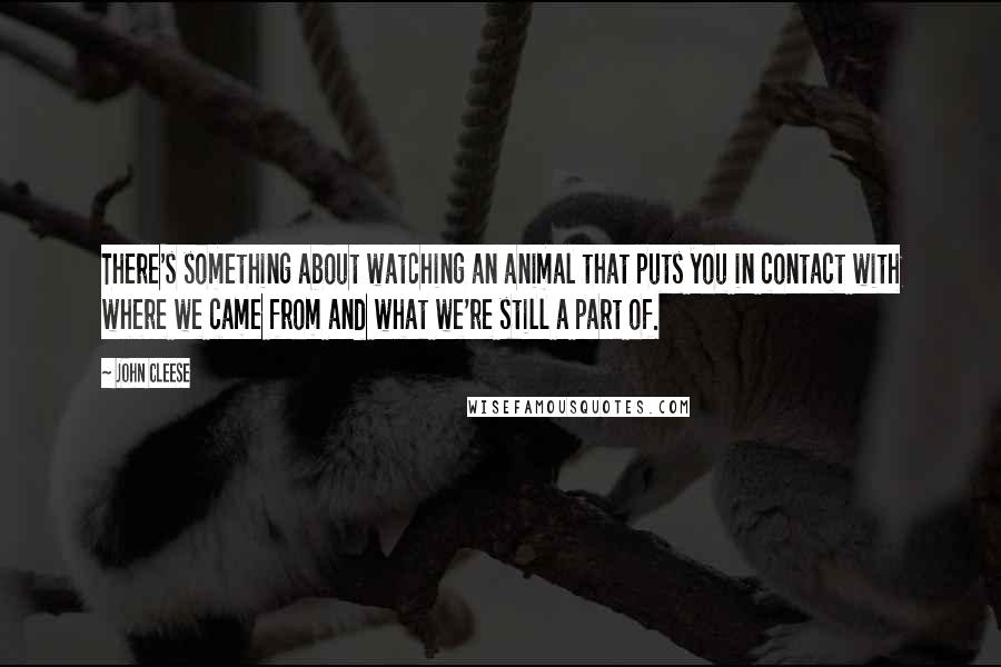 John Cleese Quotes: There's something about watching an animal that puts you in contact with where we came from and what we're still a part of.