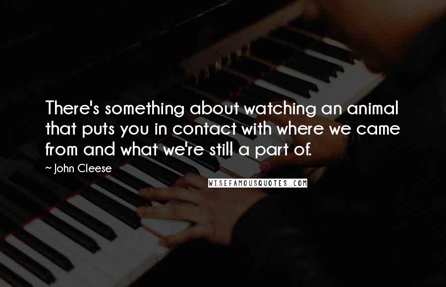 John Cleese Quotes: There's something about watching an animal that puts you in contact with where we came from and what we're still a part of.