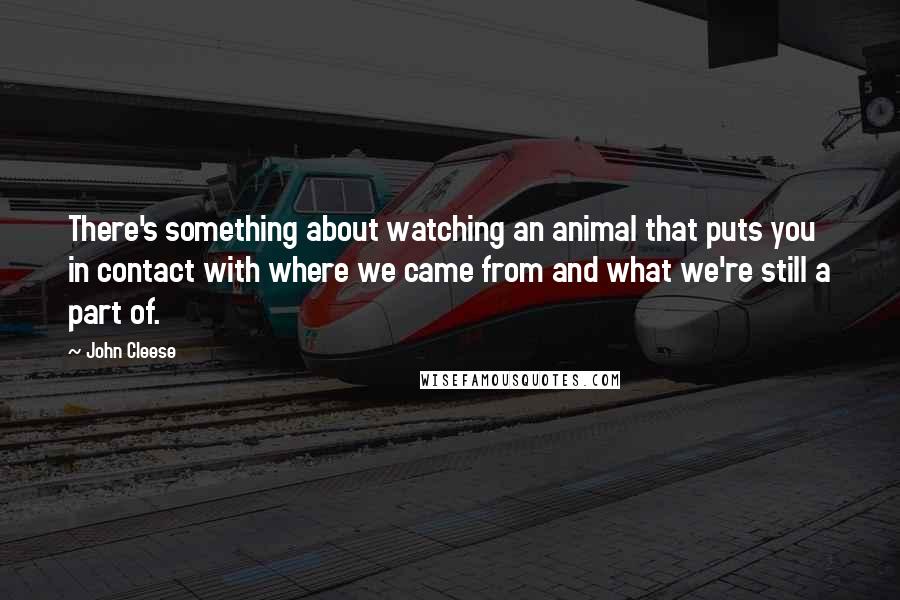 John Cleese Quotes: There's something about watching an animal that puts you in contact with where we came from and what we're still a part of.