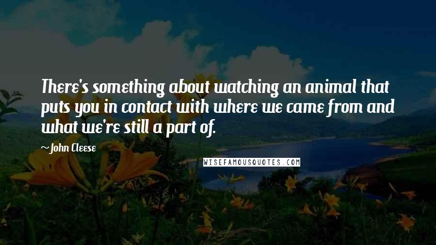 John Cleese Quotes: There's something about watching an animal that puts you in contact with where we came from and what we're still a part of.