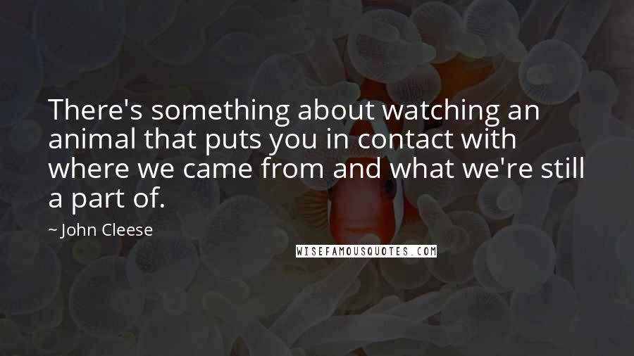 John Cleese Quotes: There's something about watching an animal that puts you in contact with where we came from and what we're still a part of.