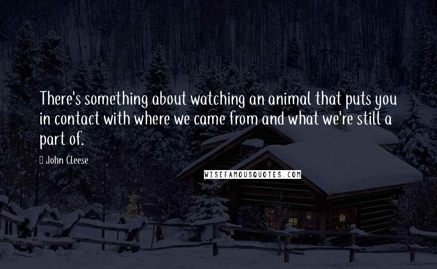 John Cleese Quotes: There's something about watching an animal that puts you in contact with where we came from and what we're still a part of.