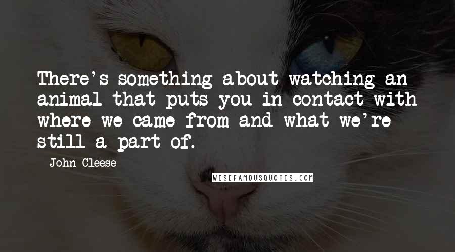 John Cleese Quotes: There's something about watching an animal that puts you in contact with where we came from and what we're still a part of.