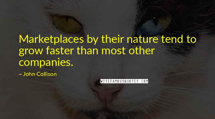 John Collison Quotes: Marketplaces by their nature tend to grow faster than most other companies.
