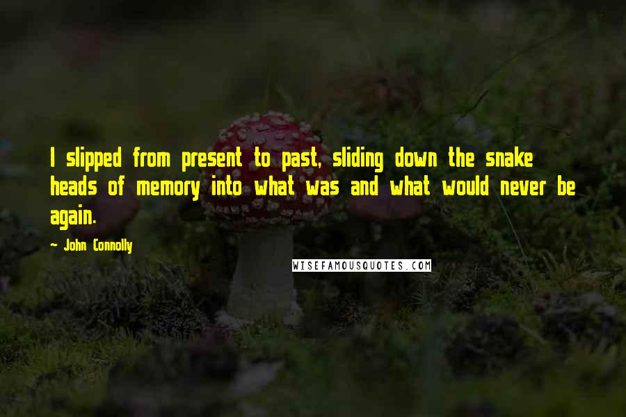 John Connolly Quotes: I slipped from present to past, sliding down the snake heads of memory into what was and what would never be again.