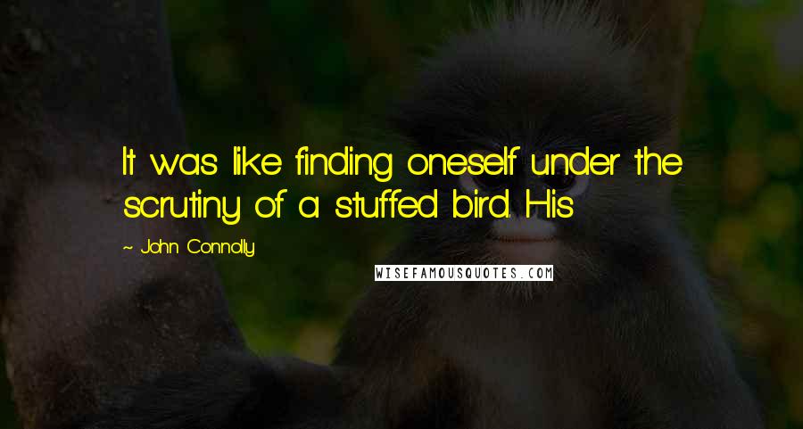 John Connolly Quotes: It was like finding oneself under the scrutiny of a stuffed bird. His