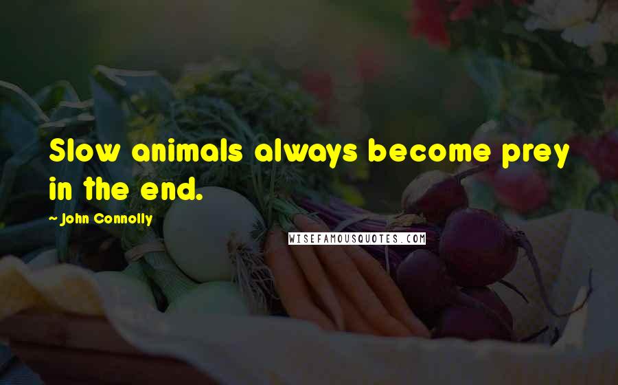John Connolly Quotes: Slow animals always become prey in the end.