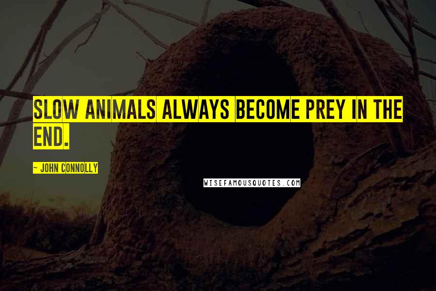 John Connolly Quotes: Slow animals always become prey in the end.