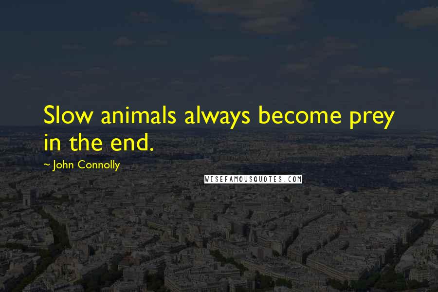John Connolly Quotes: Slow animals always become prey in the end.