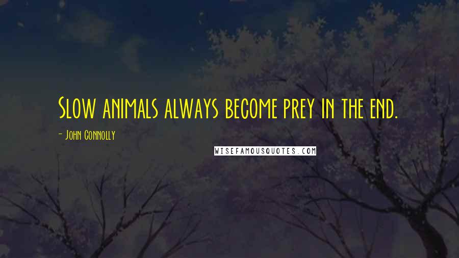 John Connolly Quotes: Slow animals always become prey in the end.