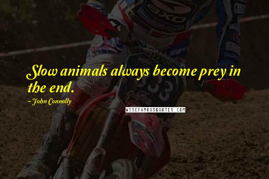 John Connolly Quotes: Slow animals always become prey in the end.