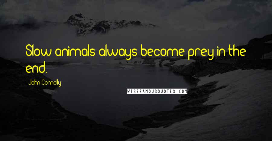 John Connolly Quotes: Slow animals always become prey in the end.