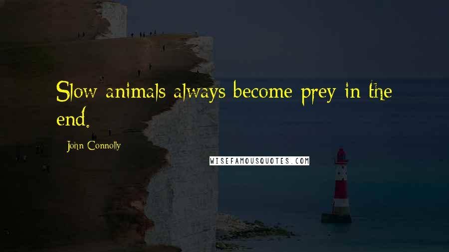 John Connolly Quotes: Slow animals always become prey in the end.