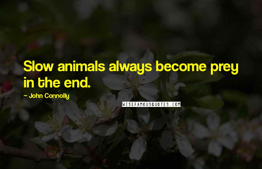 John Connolly Quotes: Slow animals always become prey in the end.