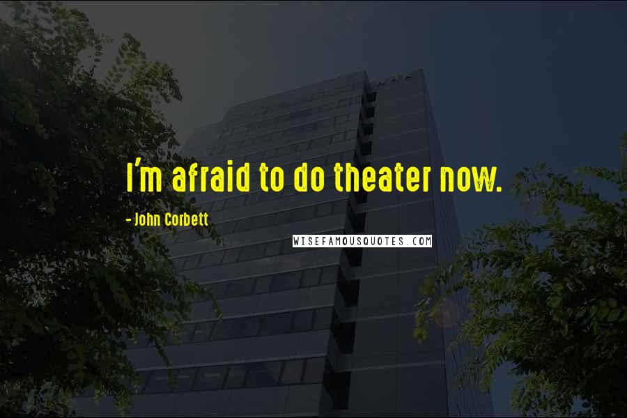 John Corbett Quotes: I'm afraid to do theater now.