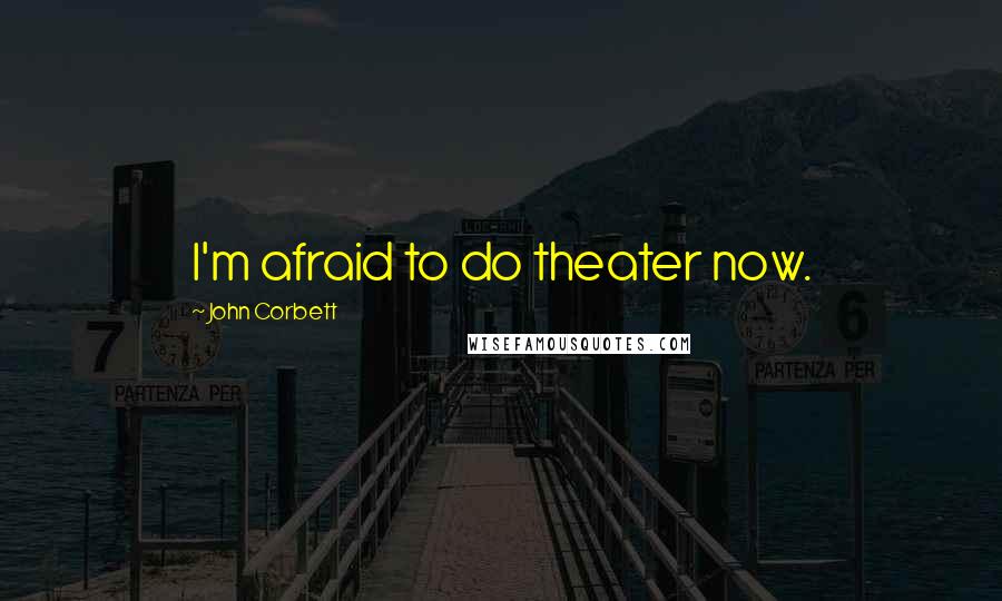 John Corbett Quotes: I'm afraid to do theater now.