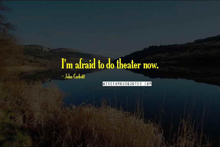 John Corbett Quotes: I'm afraid to do theater now.