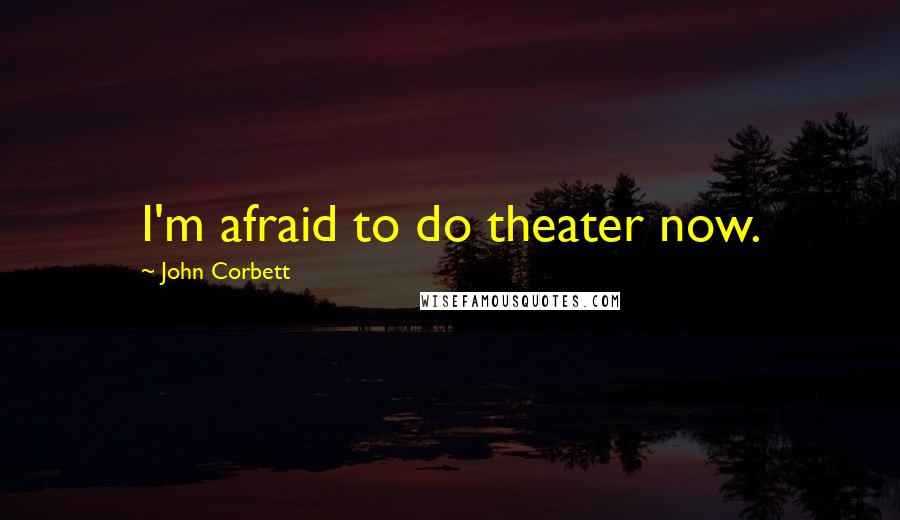 John Corbett Quotes: I'm afraid to do theater now.