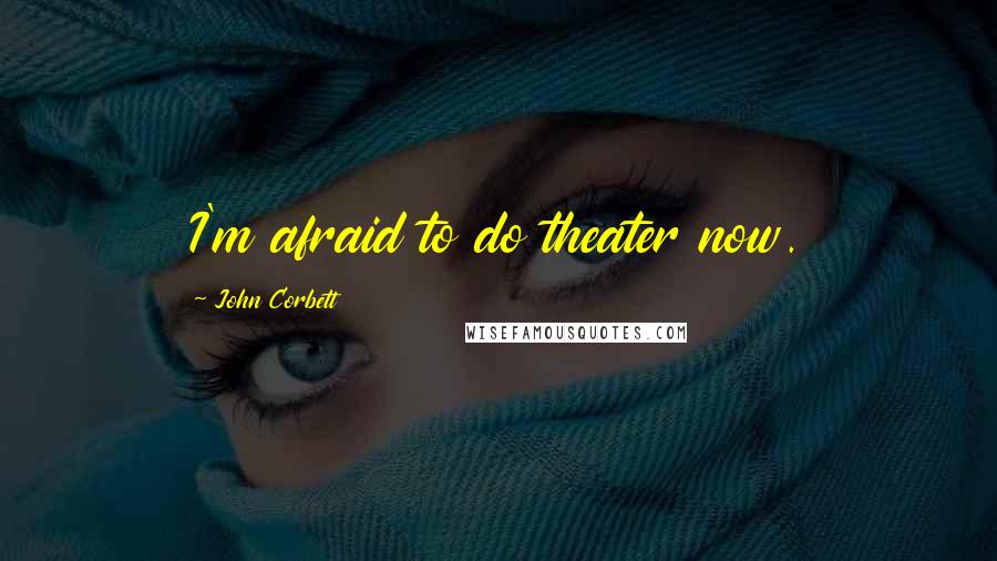 John Corbett Quotes: I'm afraid to do theater now.