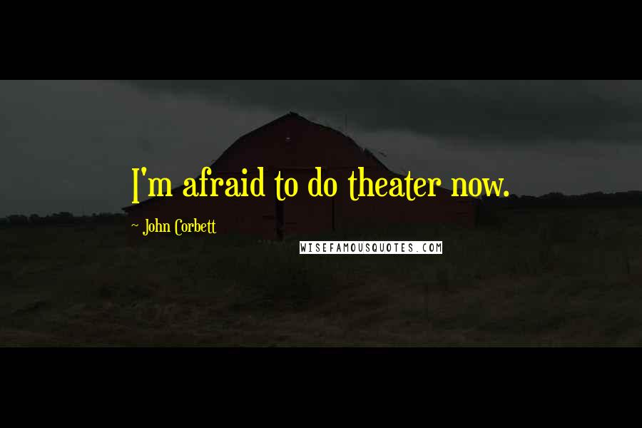 John Corbett Quotes: I'm afraid to do theater now.
