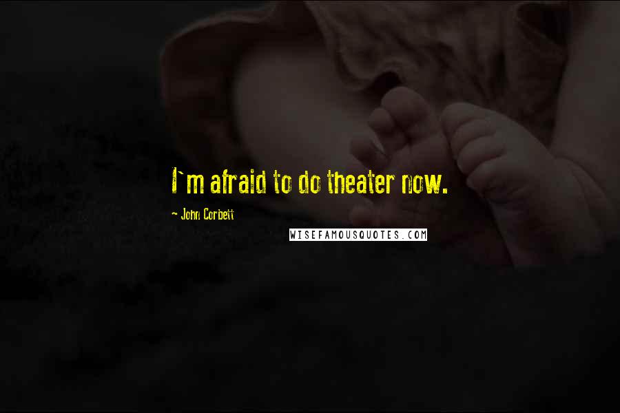 John Corbett Quotes: I'm afraid to do theater now.