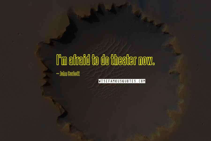 John Corbett Quotes: I'm afraid to do theater now.