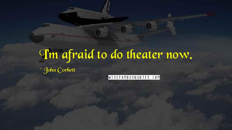 John Corbett Quotes: I'm afraid to do theater now.