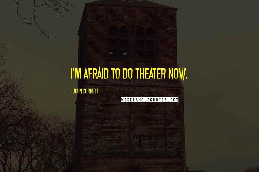 John Corbett Quotes: I'm afraid to do theater now.