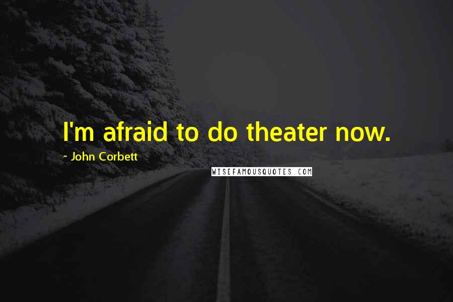 John Corbett Quotes: I'm afraid to do theater now.