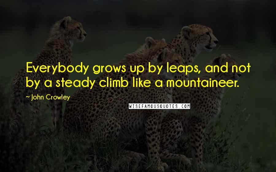 John Crowley Quotes: Everybody grows up by leaps, and not by a steady climb like a mountaineer.