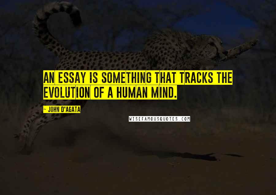 John D'Agata Quotes: An essay is something that tracks the evolution of a human mind.