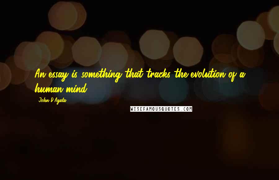 John D'Agata Quotes: An essay is something that tracks the evolution of a human mind.