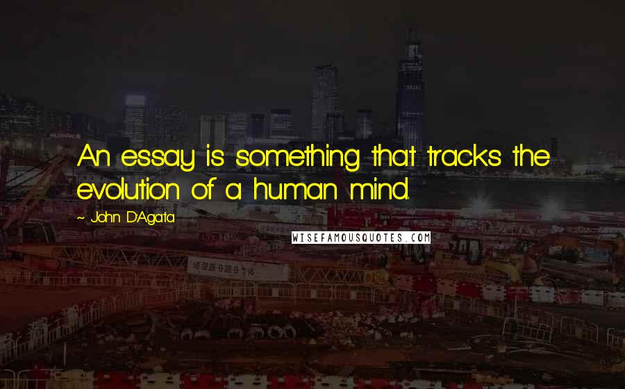 John D'Agata Quotes: An essay is something that tracks the evolution of a human mind.