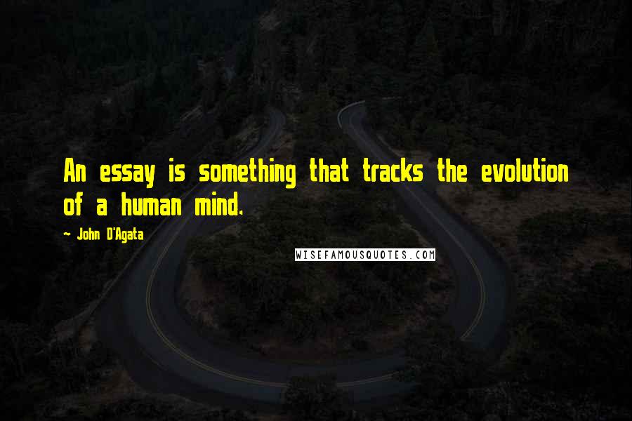 John D'Agata Quotes: An essay is something that tracks the evolution of a human mind.