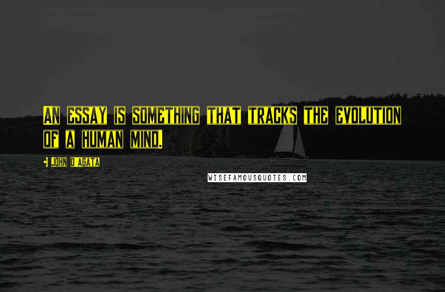 John D'Agata Quotes: An essay is something that tracks the evolution of a human mind.