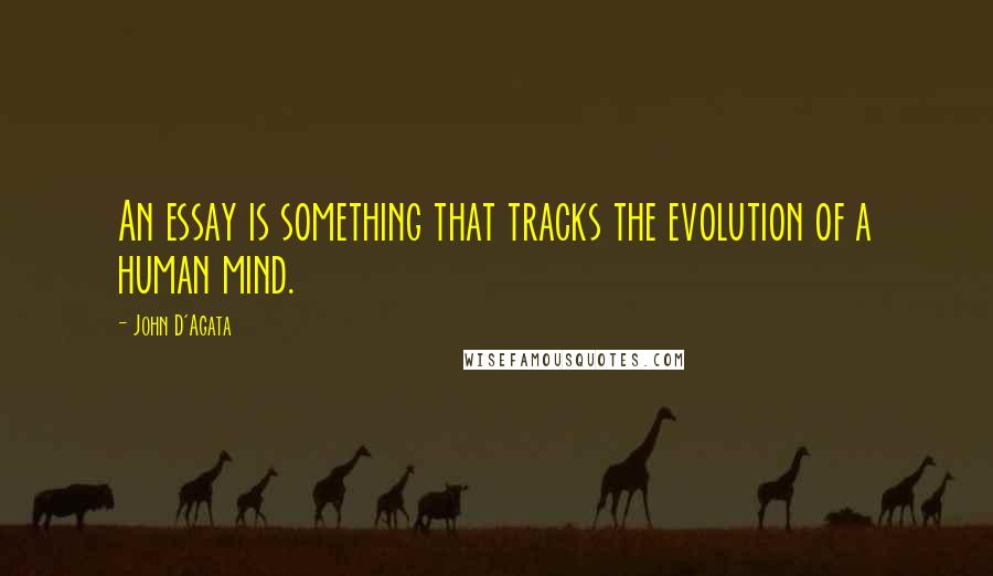 John D'Agata Quotes: An essay is something that tracks the evolution of a human mind.