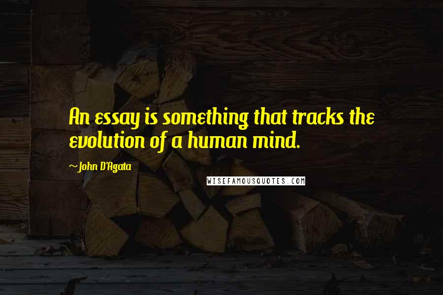 John D'Agata Quotes: An essay is something that tracks the evolution of a human mind.