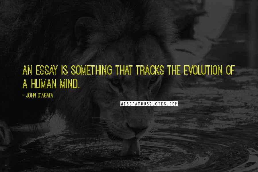 John D'Agata Quotes: An essay is something that tracks the evolution of a human mind.