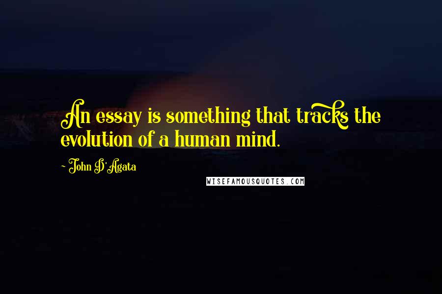 John D'Agata Quotes: An essay is something that tracks the evolution of a human mind.