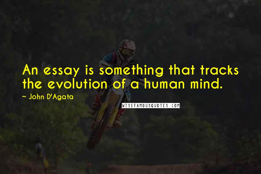 John D'Agata Quotes: An essay is something that tracks the evolution of a human mind.