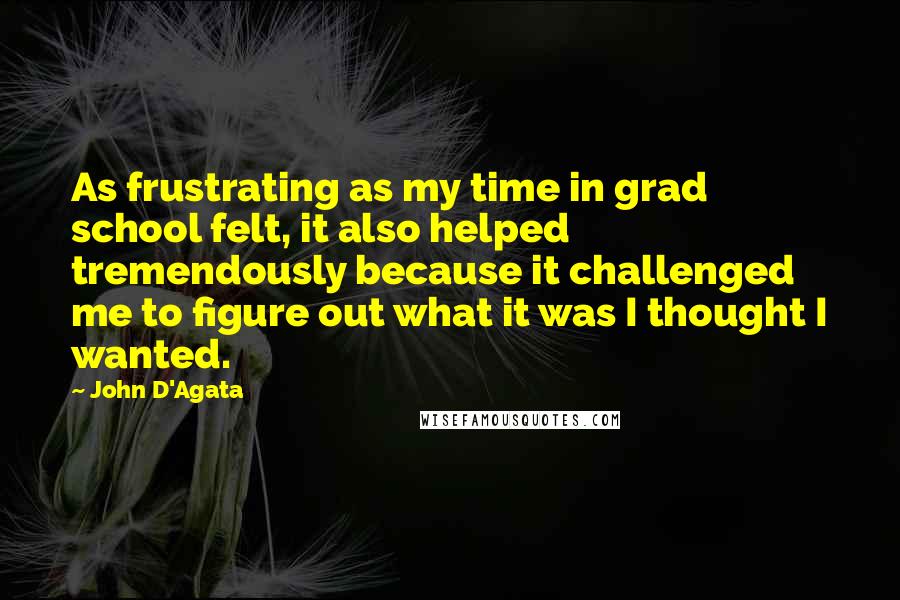 John D'Agata Quotes: As frustrating as my time in grad school felt, it also helped tremendously because it challenged me to figure out what it was I thought I wanted.