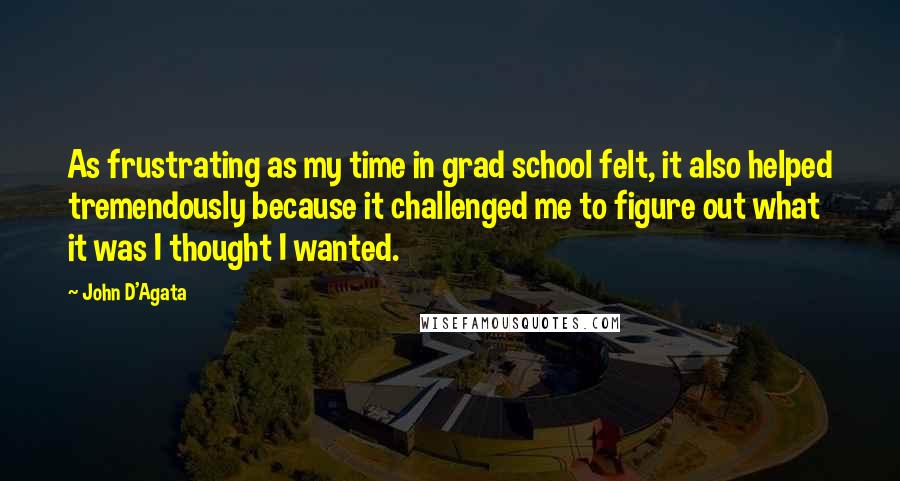 John D'Agata Quotes: As frustrating as my time in grad school felt, it also helped tremendously because it challenged me to figure out what it was I thought I wanted.