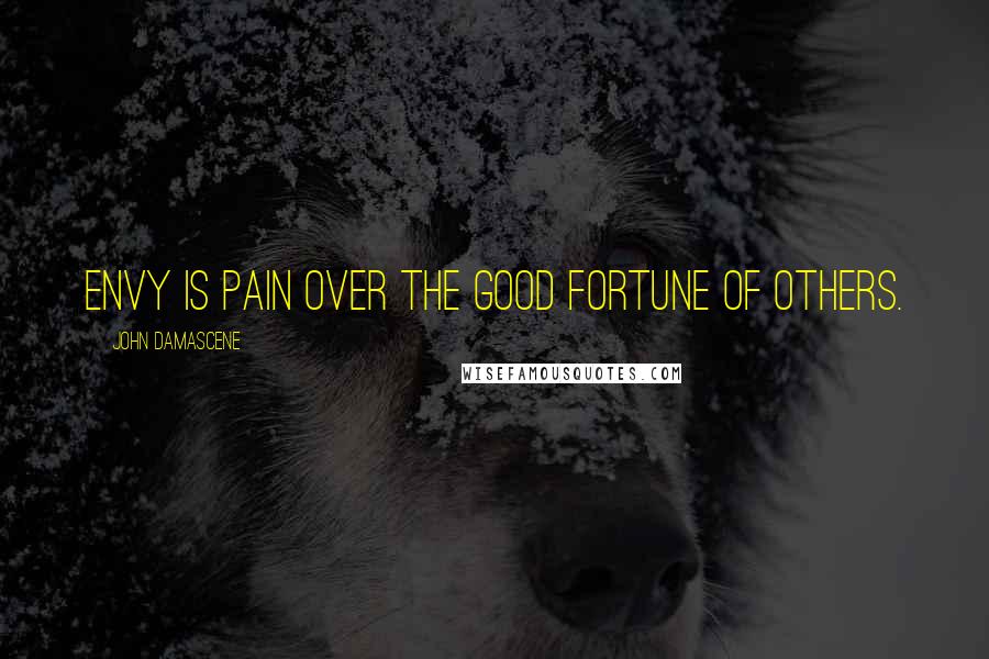 John Damascene Quotes: Envy is pain over the good fortune of others.