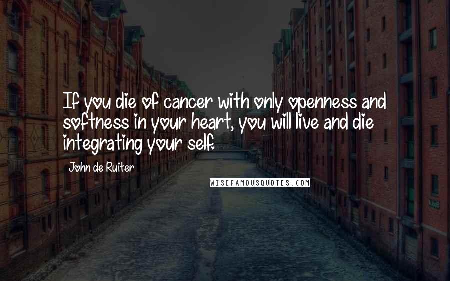 John De Ruiter Quotes: If you die of cancer with only openness and softness in your heart, you will live and die integrating your self.