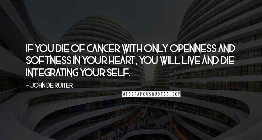 John De Ruiter Quotes: If you die of cancer with only openness and softness in your heart, you will live and die integrating your self.
