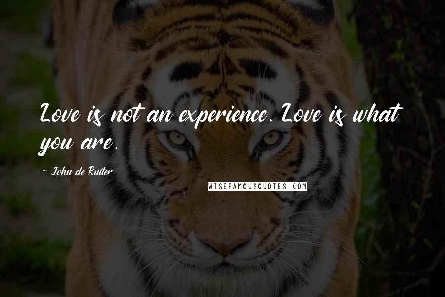 John De Ruiter Quotes: Love is not an experience. Love is what you are.