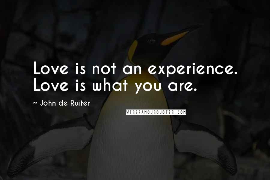 John De Ruiter Quotes: Love is not an experience. Love is what you are.