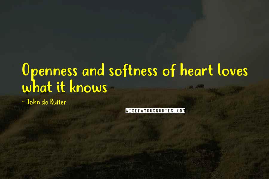 John De Ruiter Quotes: Openness and softness of heart loves what it knows