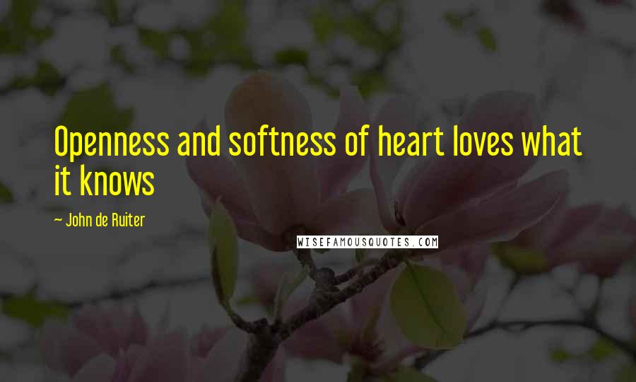 John De Ruiter Quotes: Openness and softness of heart loves what it knows