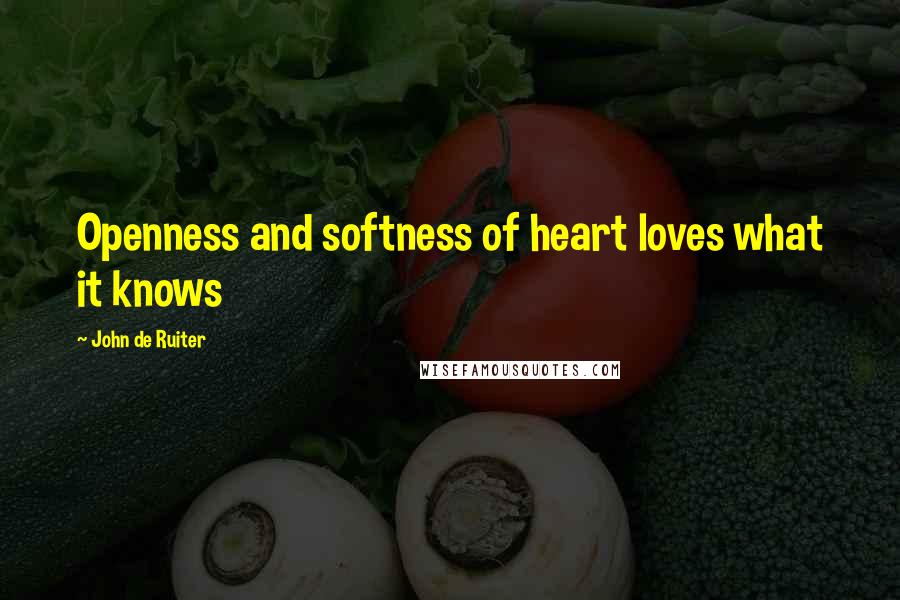 John De Ruiter Quotes: Openness and softness of heart loves what it knows